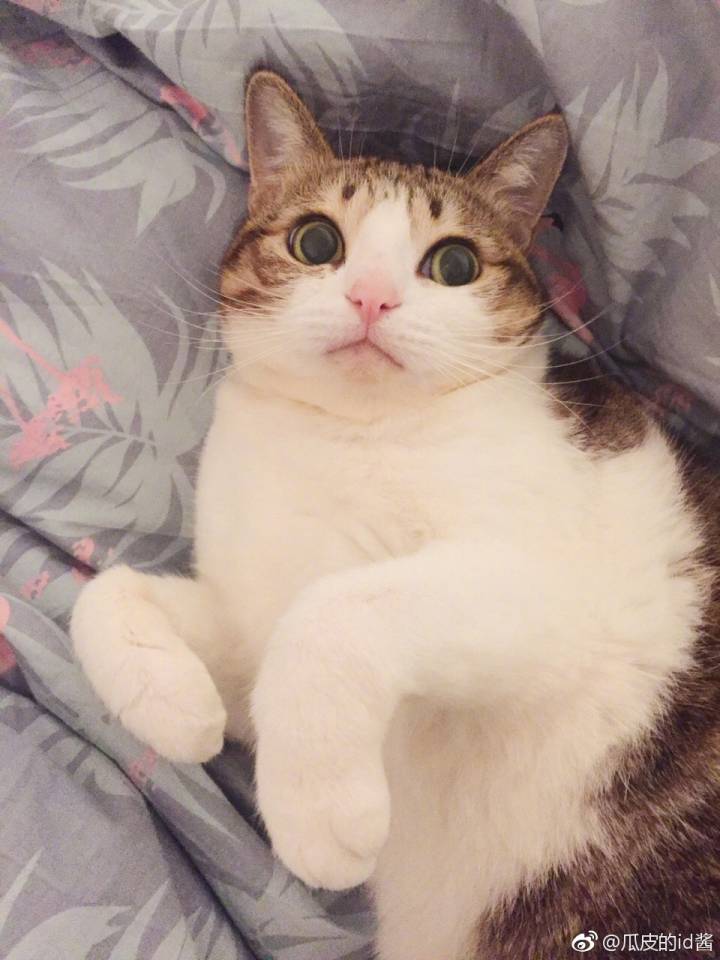 瓜皮♥萌萌＃情头