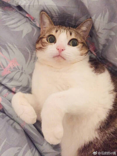 瓜皮♥萌萌＃情头