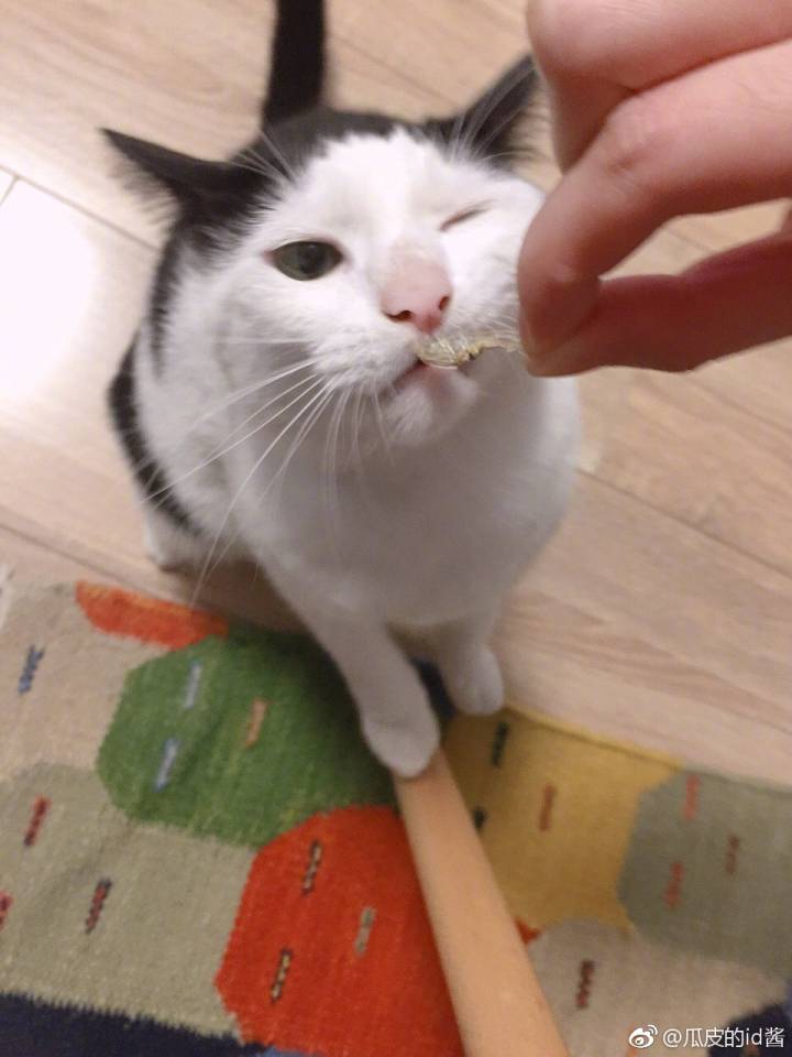 瓜皮♥萌萌＃情头