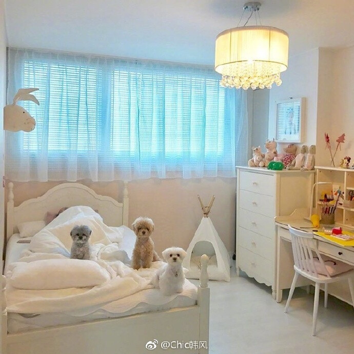 .Room | 白色系温馨家居布置指南 客厅留有充足的空间给小狗们活动呢 ​​​​