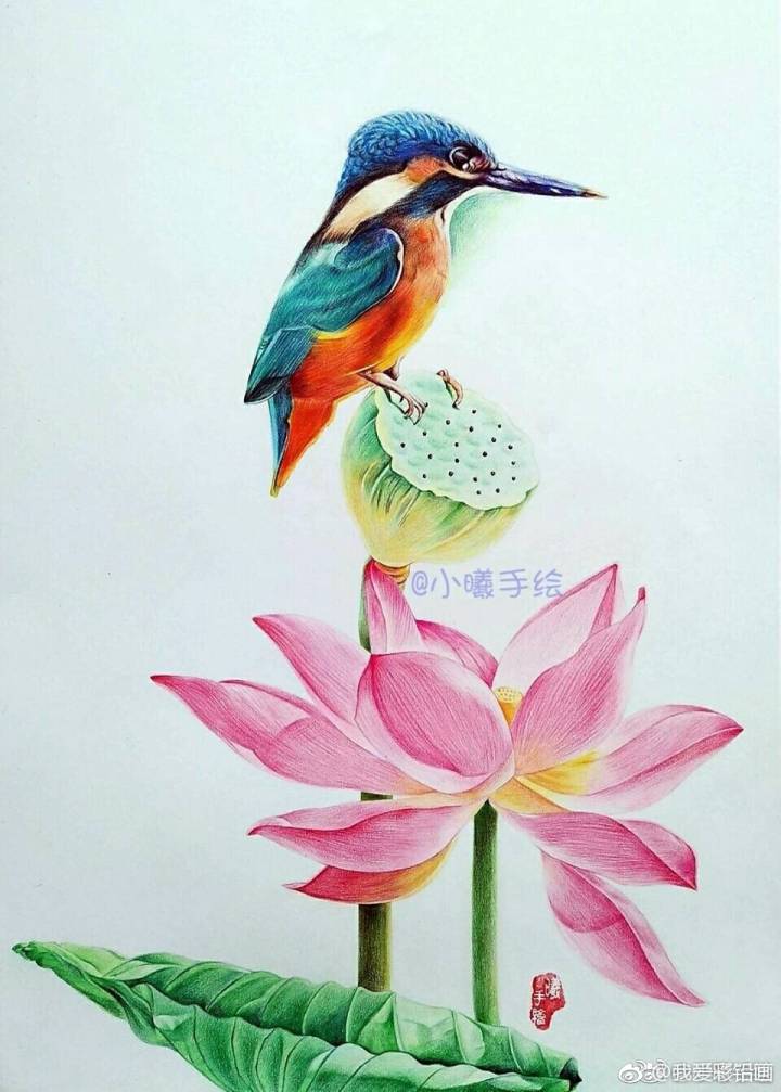 彩铅画