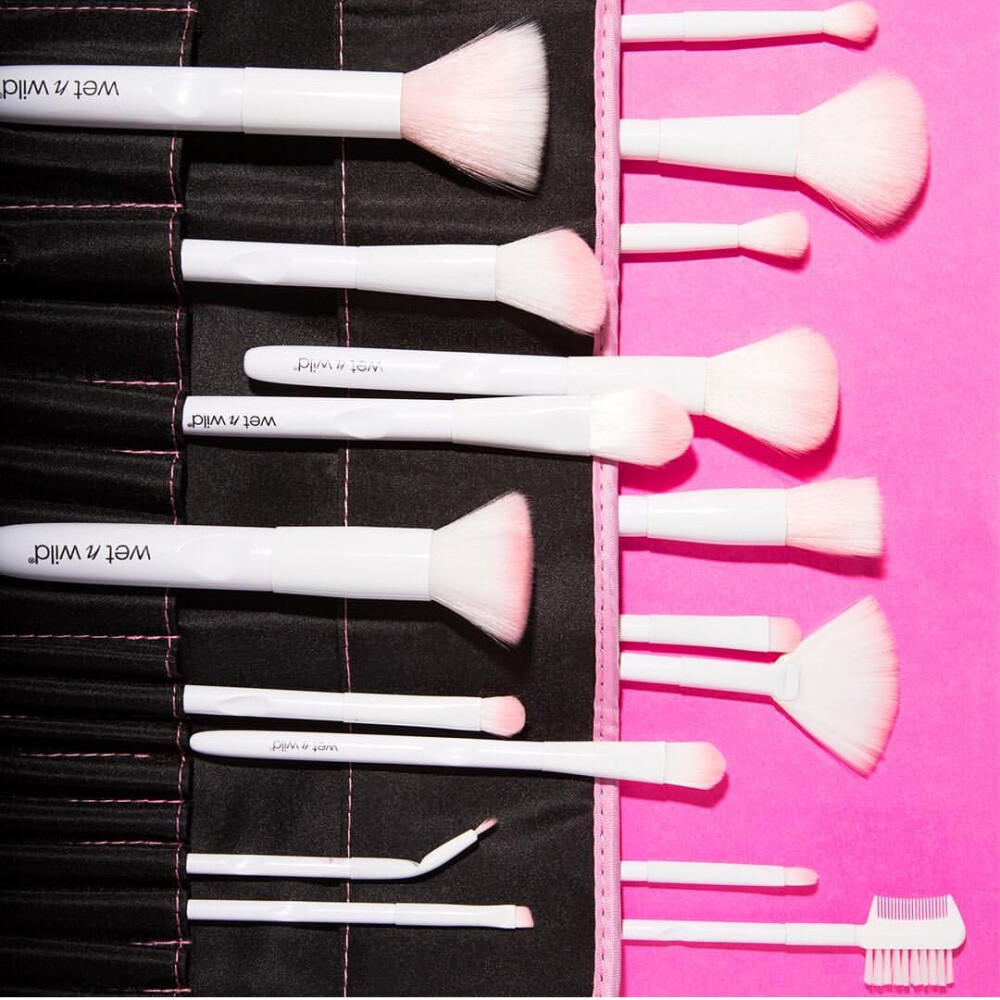 wet and wild brush set