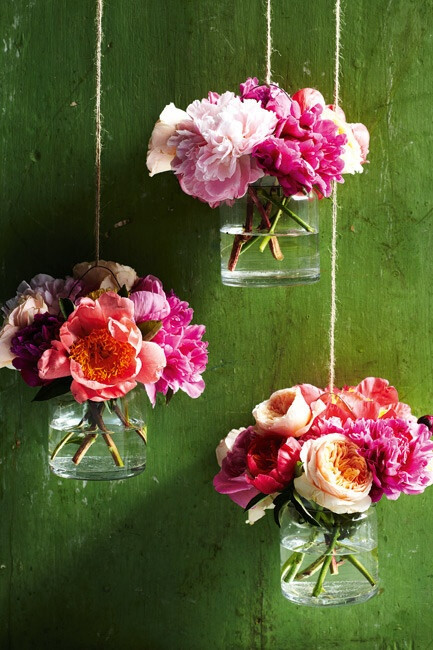 Citrus wall and peonies. #采集大赛#