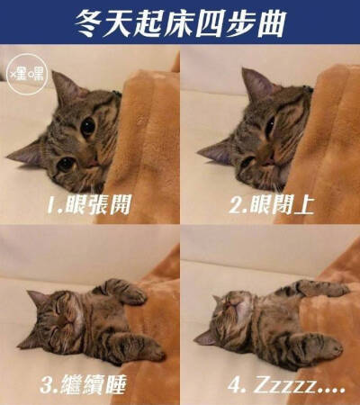 起床