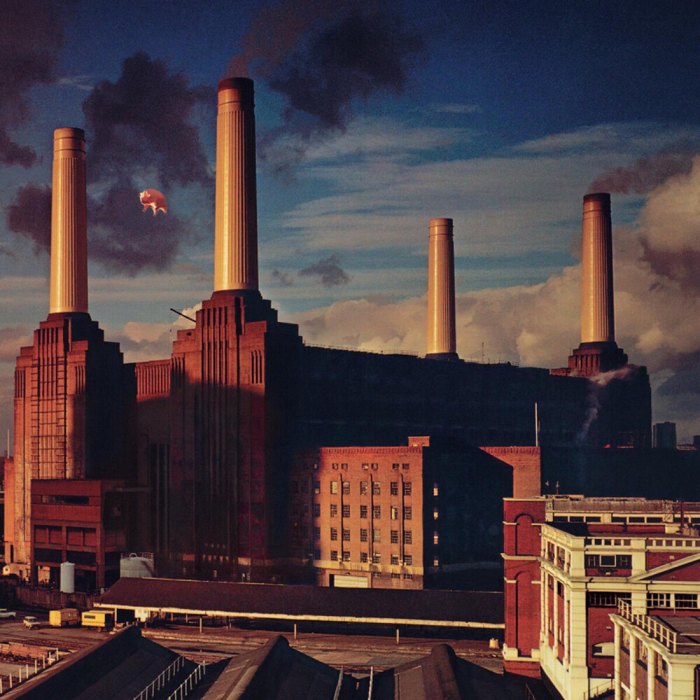 95 英国摇滚乐队Pink Floyd（平克·弗洛伊德）2011年专辑《Animals(2011 - Remaster)》封面