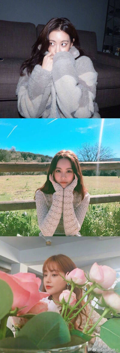 花游记