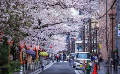 日本小路