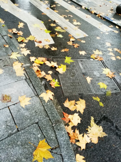 杭州美景和美食，第一天下雨了不过依然好看