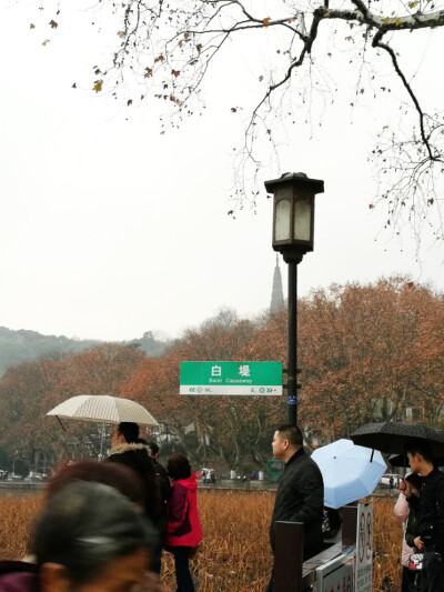 杭州美景和美食，第一天下雨了不过依然好看