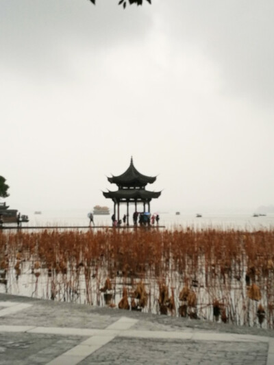 杭州美景和美食，第一天下雨了不过依然好看