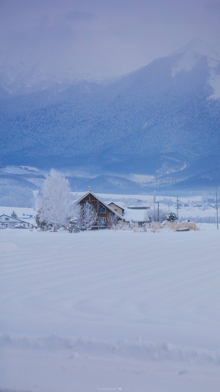 雪景