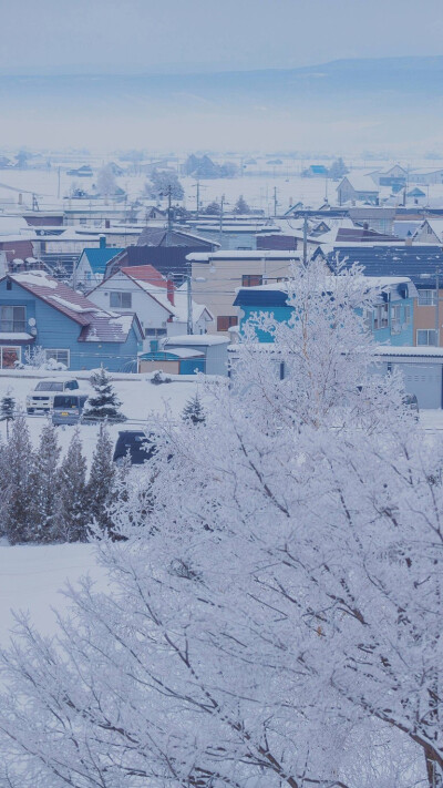 雪景