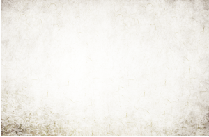 PPT
