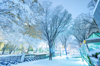 2018年初，秋叶原、新宿雪景+​​​​