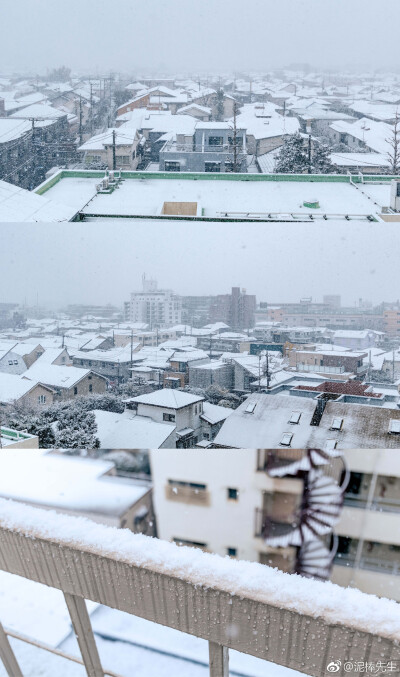 东京的雪2018.01.22
来自：泥棒先生
https://weibo.com/2976566731/FFxLZyPlk?refer_flag=1001030103_