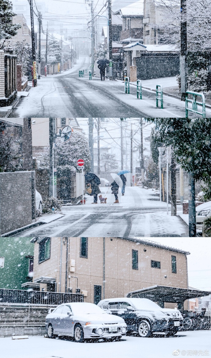 东京的雪2018.01.22
来自：泥棒先生
https://weibo.com/2976566731/FFxLZyPlk?refer_flag=1001030103_