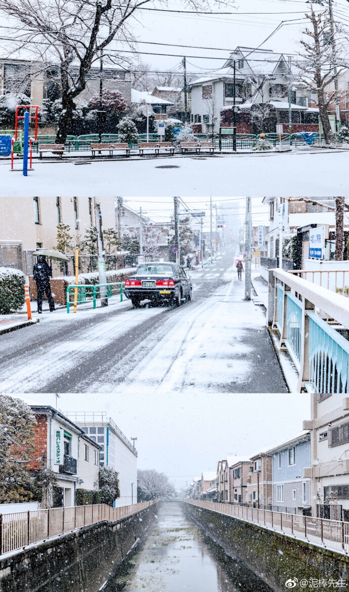 东京的雪2018.01.22
来自：泥棒先生
https://weibo.com/2976566731/FFxLZyPlk?refer_flag=1001030103_