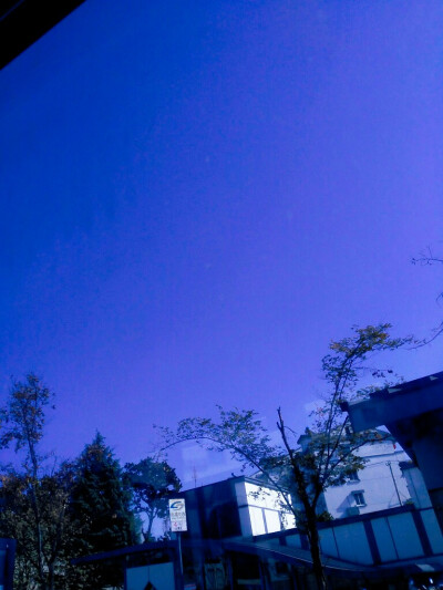 2018.1.1 公交车上随手一拍，透过窗户看天空真的是蓝的bulingbuling的