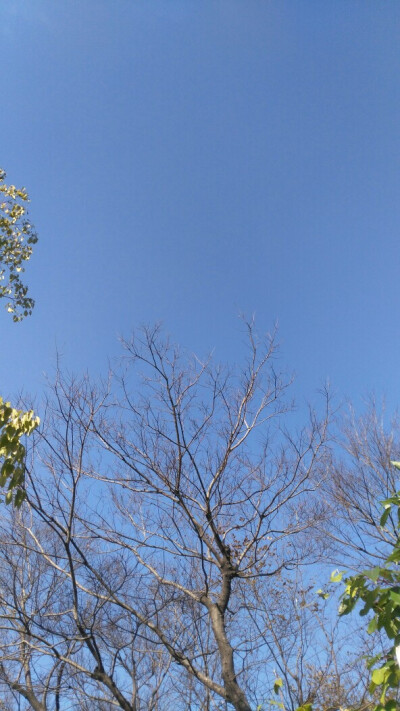 2018.1.1 小学门口随手一拍