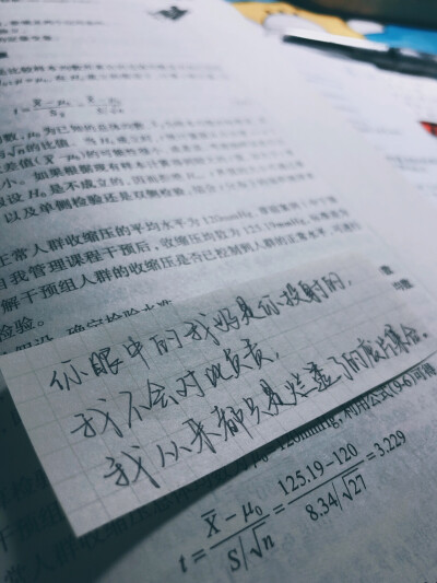 你眼中的我好是你投射的，我不会对此负责，我从来都只是烂透了的废片集合。
文素@Allrisks