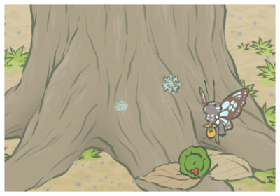 旅かえる·Day 13 终于邂逅了蝴蝶妹砸！