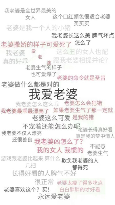 我爱老婆，犯规滴壁纸