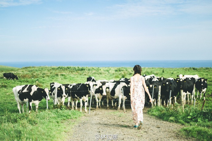 日本 北海道。摄影师：@林初寒