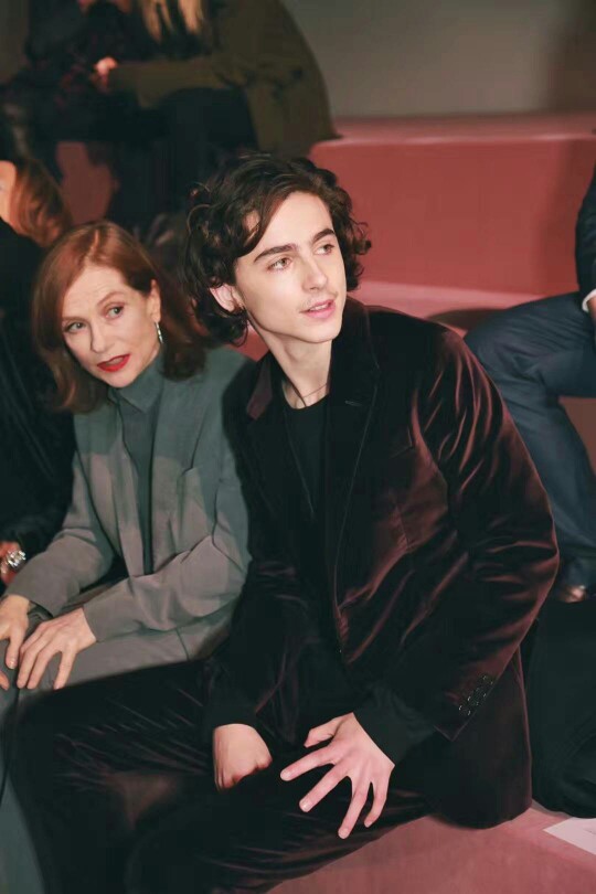 蒂莫西·柴勒梅德Timothée Chalamet，甜茶，头像，壁纸