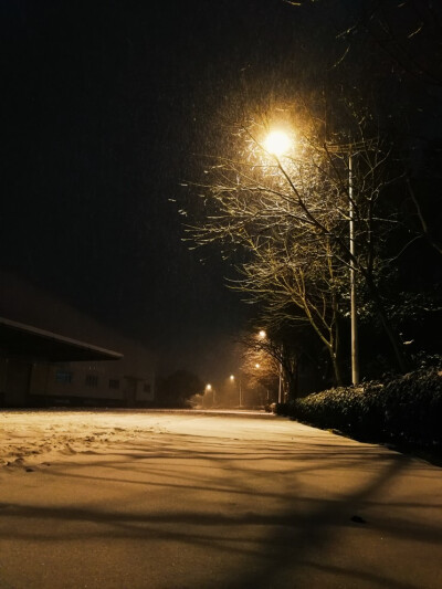 今年的雪，特别认真。