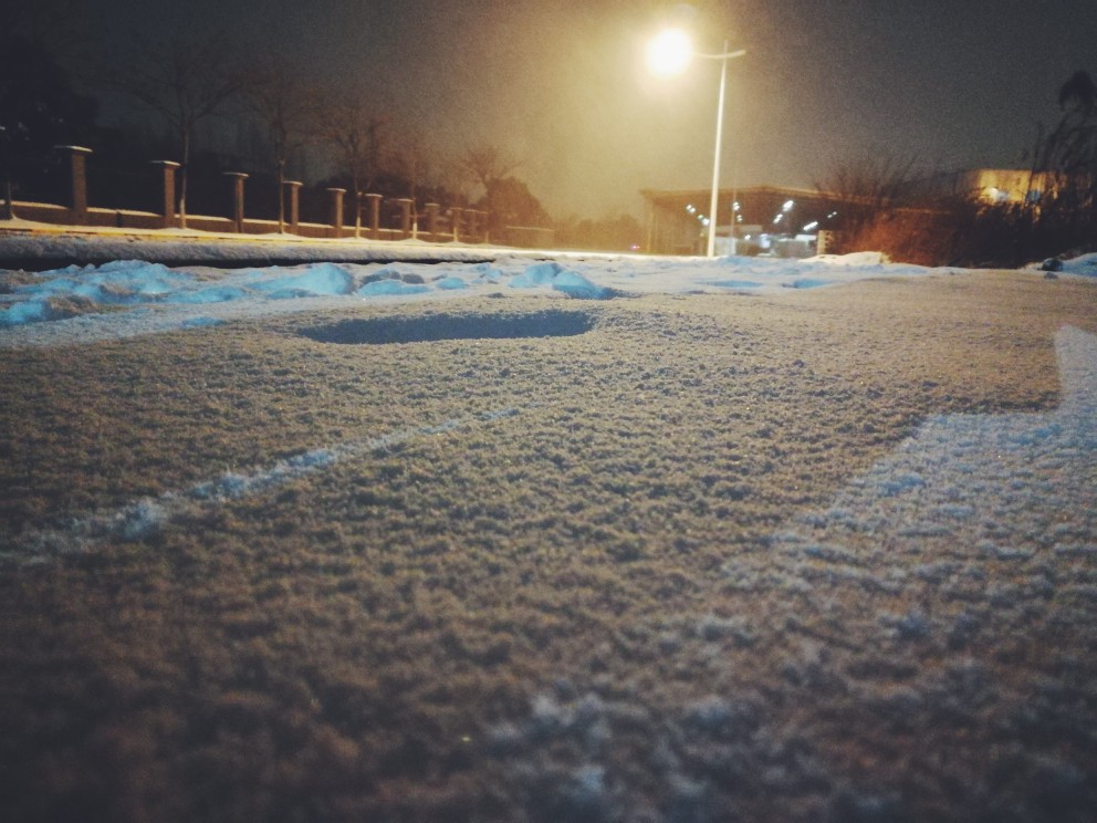 今年的雪，特别认真。