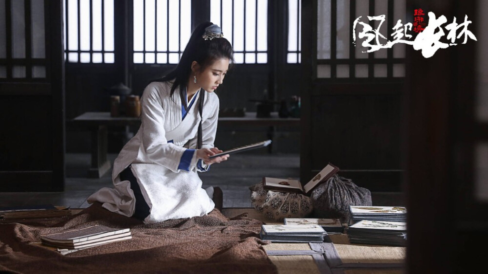 琅琊榜之风起长林
林奚