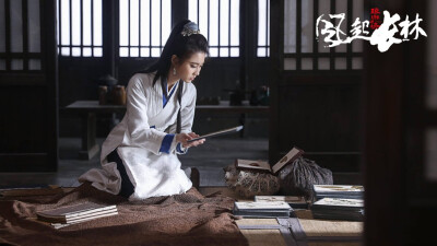 琅琊榜之风起长林
林奚