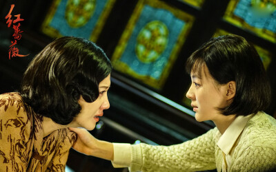 电视剧《红蔷薇》