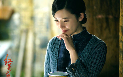 电视剧《红蔷薇》