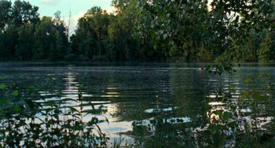 Call Me by Your Name
请以你的名字呼唤我