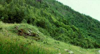 Call Me by Your Name
请以你的名字呼唤我