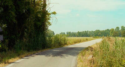 Call Me by Your Name
请以你的名字呼唤我