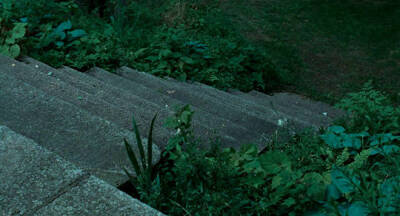 Call Me by Your Name
请以你的名字呼唤我