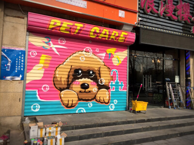 pet+care宠物店卷帘门涂鸦