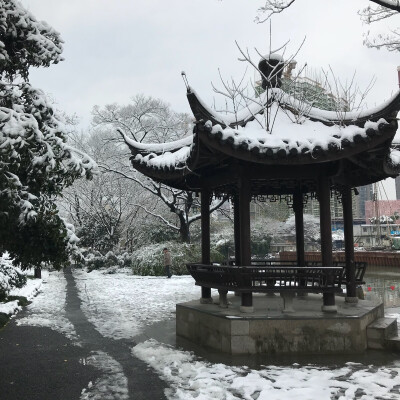 单位后门的亭子，一直都是我眼里的景