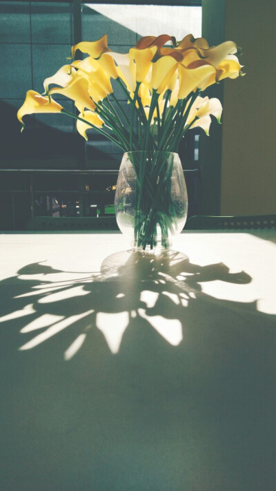 青年之家，共青团，看书