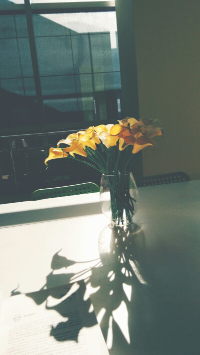 青年之家，共青团，看书