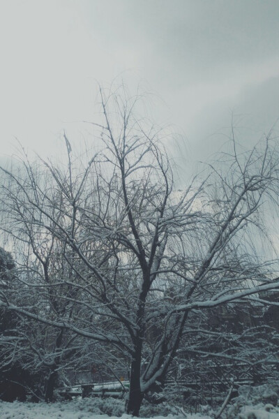 2018.1.26 贼冷贼冷