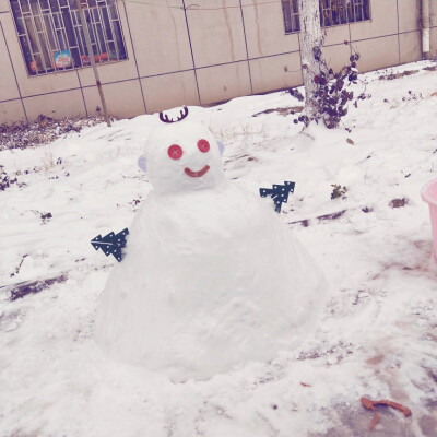 下大雪把堆糖送的毛毡当成各种~~