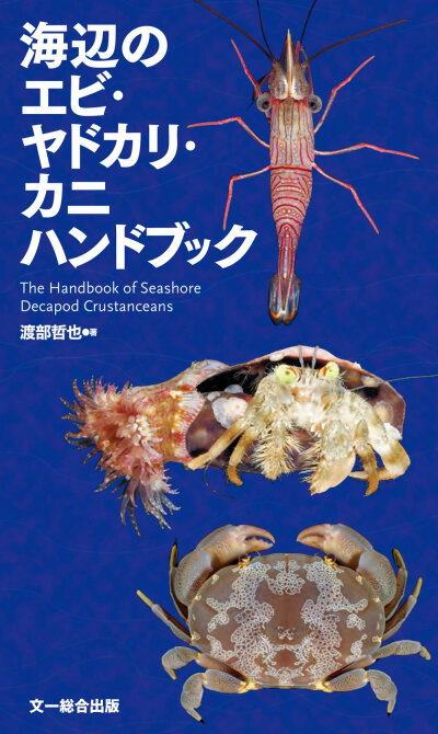 日版◆全新◆海边的虾 寄居蟹 螃蟹手册◆新書版