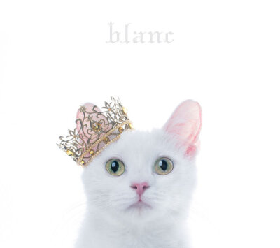 记销量 Aimer 歌集 专辑 BEST SELECTION “blanc\