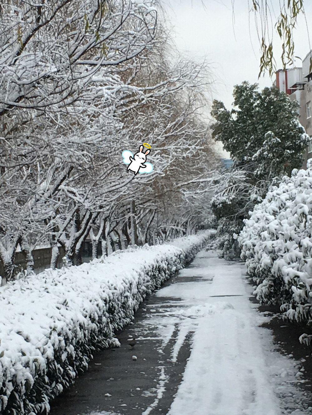 冰雪世界