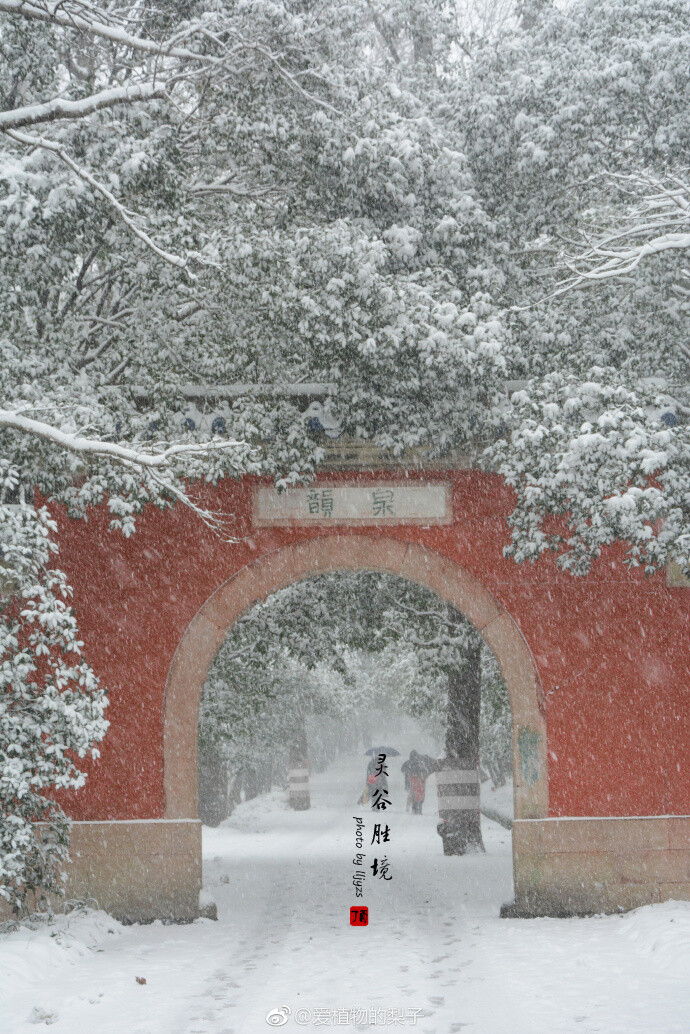 灵谷胜境，风雪肆虐这是08年以来见到的最大一场雪 ​​​​