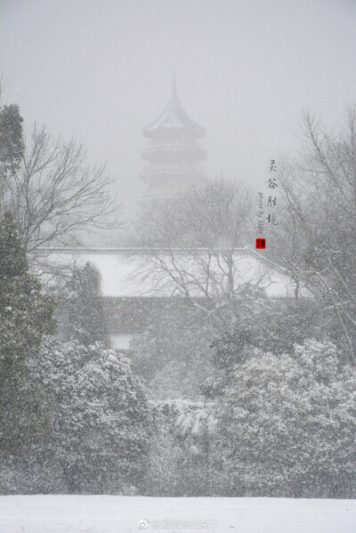 灵谷胜境，风雪肆虐这是08年以来见到的最大一场雪 ​​​​