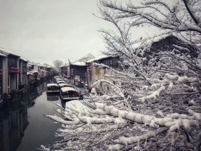 苏州 十年后的又一场雪景